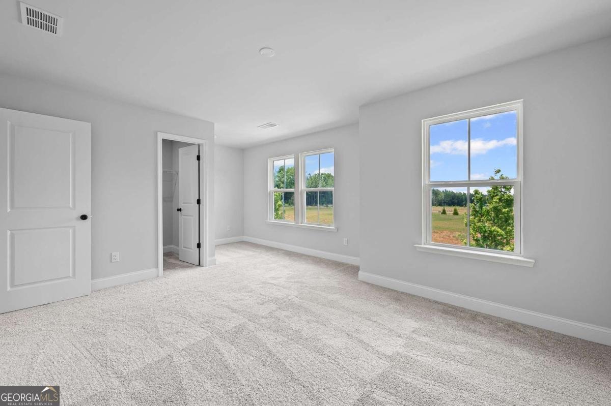 701 Calendula Court Mcdonough - 17