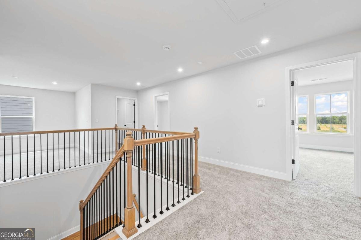 701 Calendula Court Mcdonough - 19