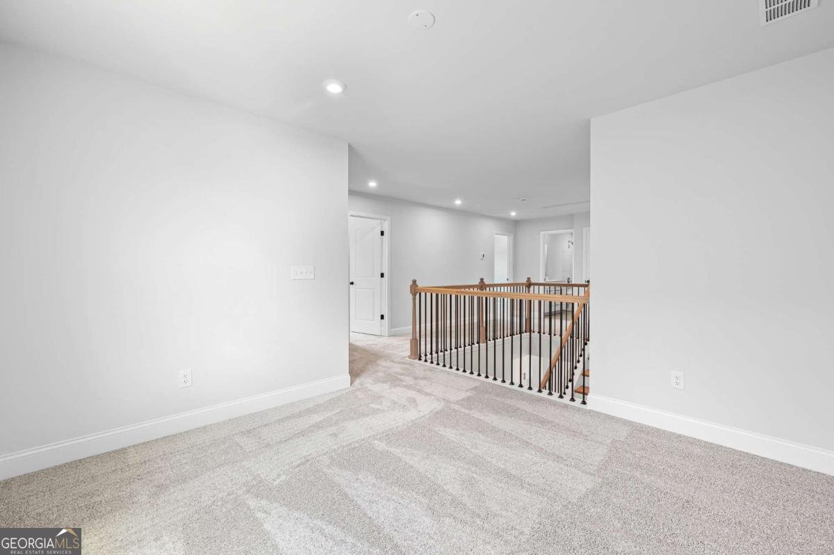 701 Calendula Court Mcdonough - 20