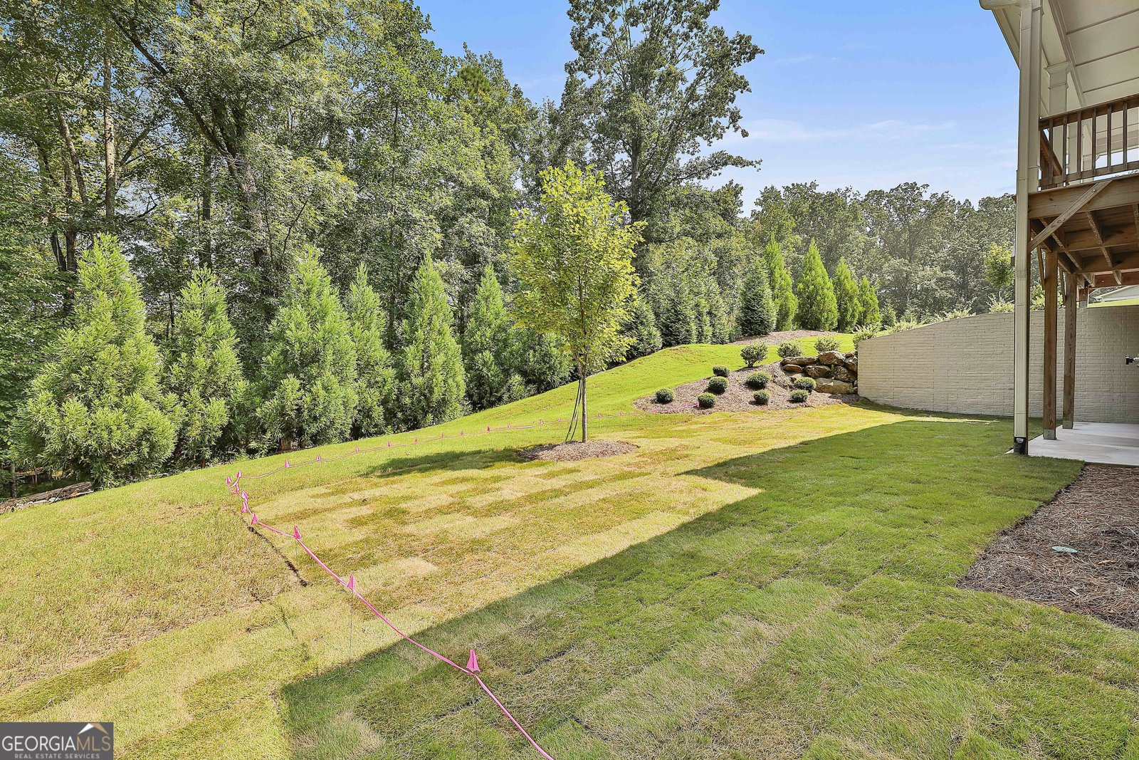468 Silverbell Court Peachtree City - 53