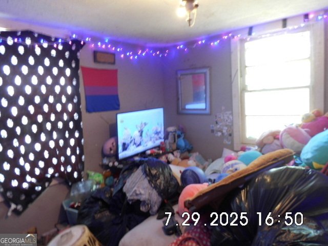 454 Jud Tench Road Demorest - 8