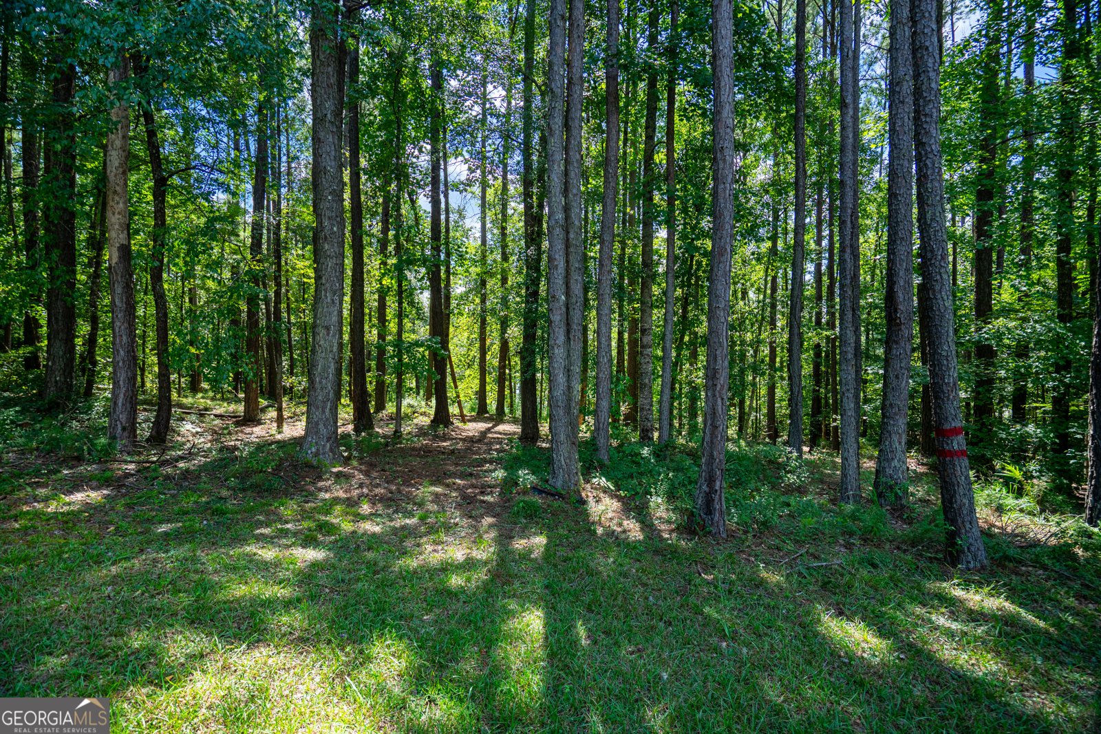 114 Caney Creek Court Lagrange - 24