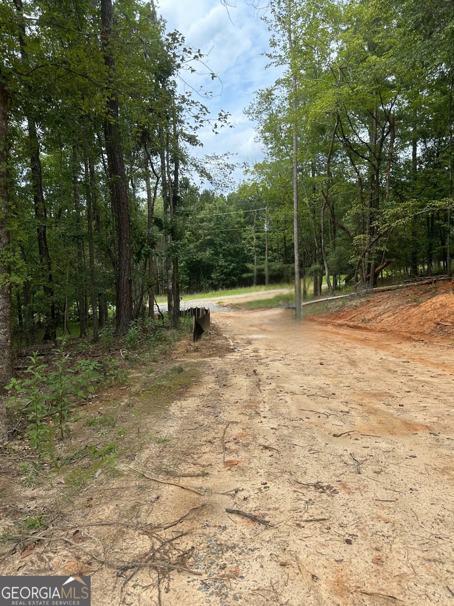 210 Erin Shores Drive Sparta - 13