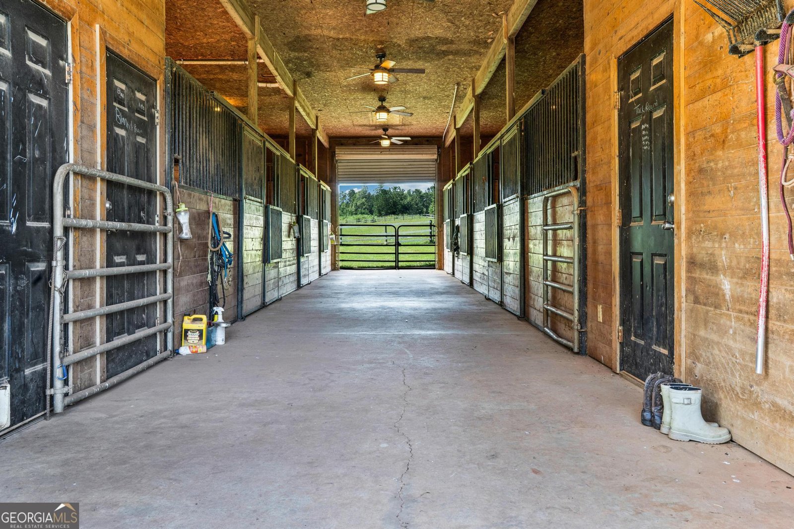 956 Al Roberts Road Senoia - 19