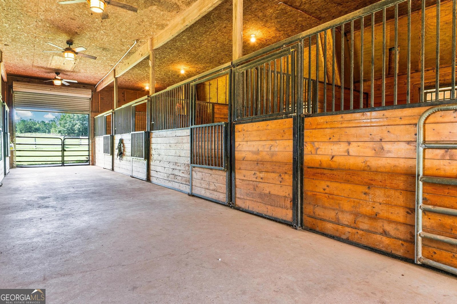 956 Al Roberts Road Senoia - 22