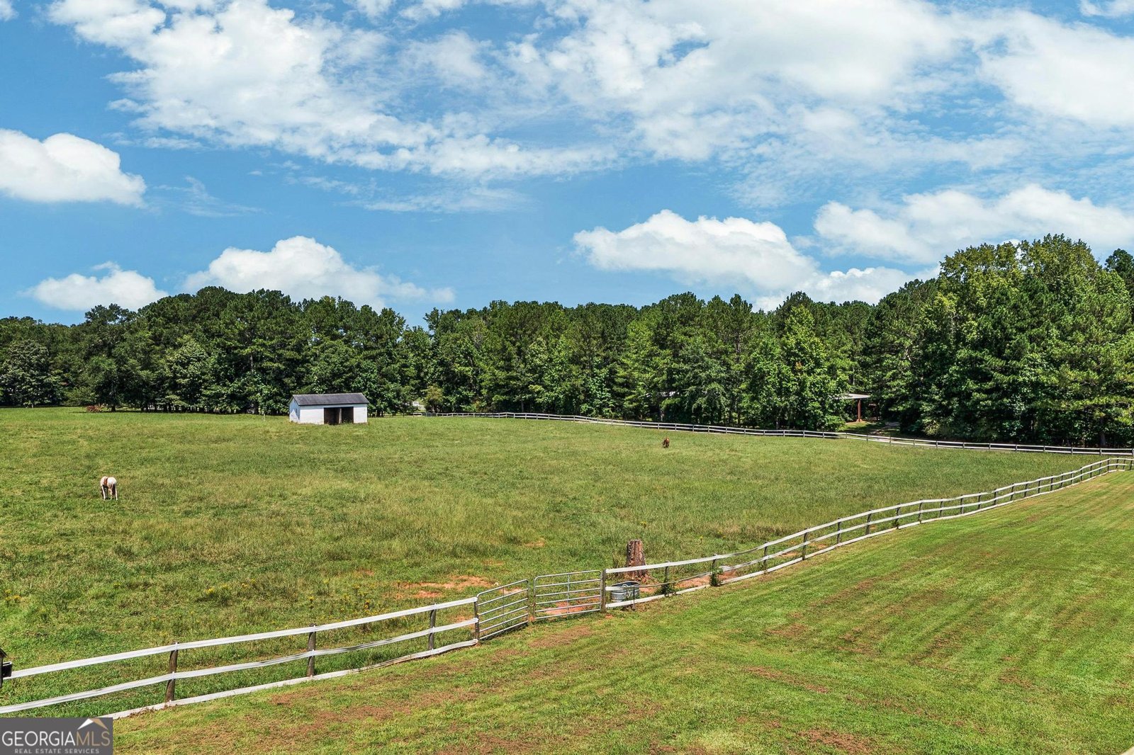 956 Al Roberts Road Senoia - 37