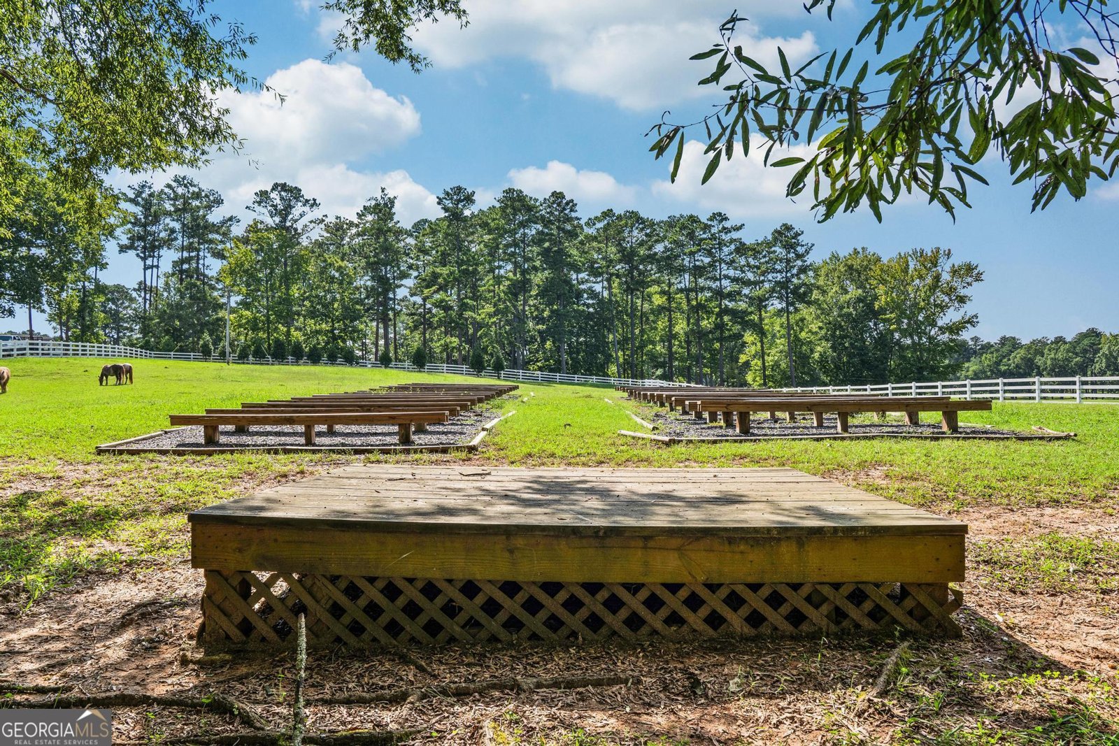 956 Al Roberts Road Senoia - 61