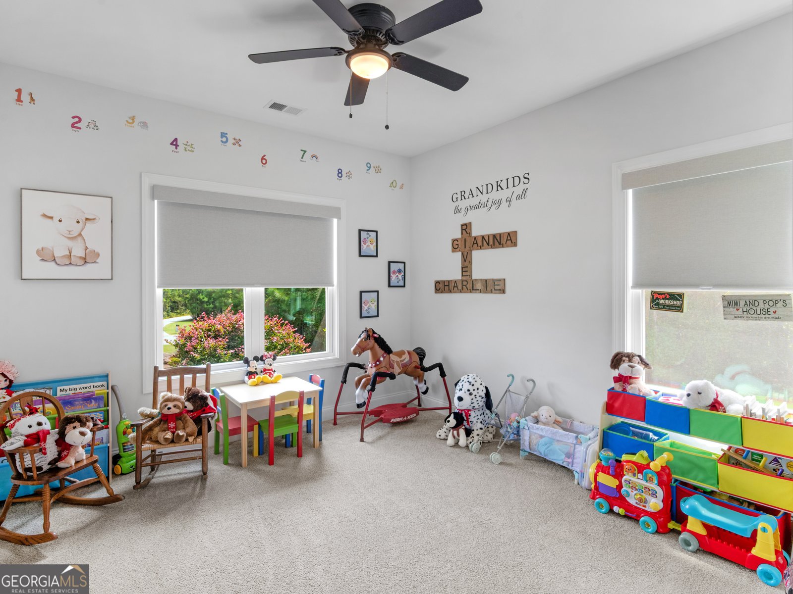 352 Thunderbolt Lane Williamson - 15