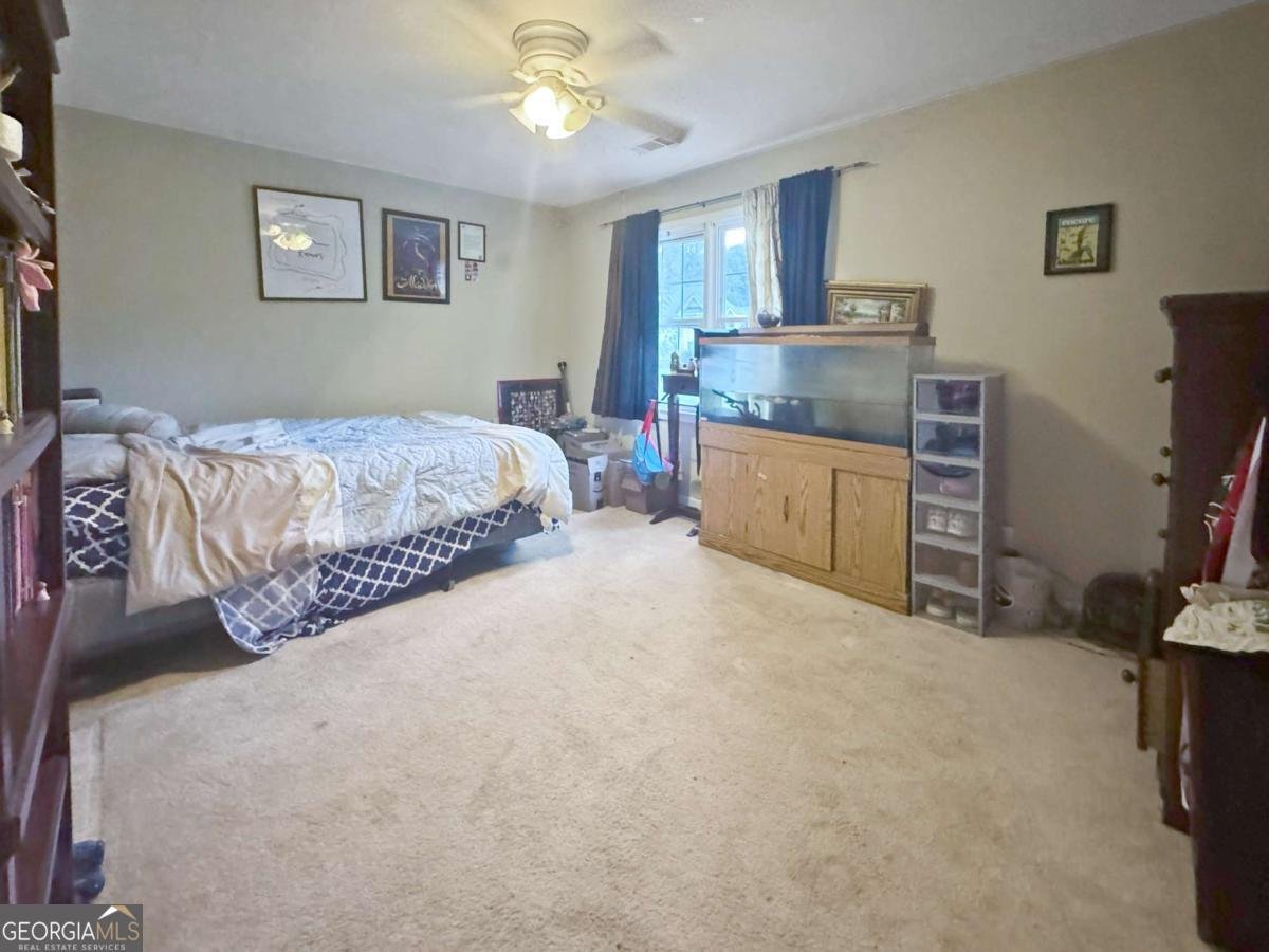 730 Winnbrook Drive Dacula - 18