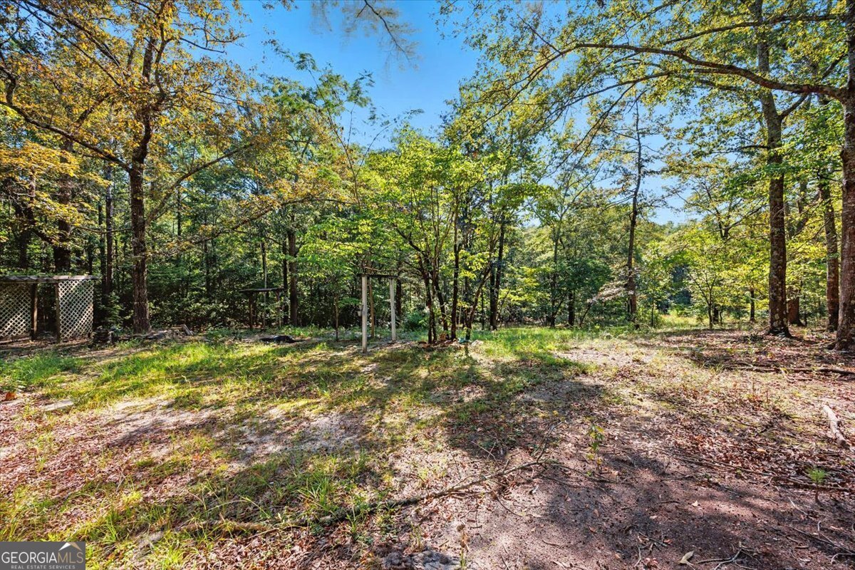 379 Bethlehem Church Road Gordon - 22