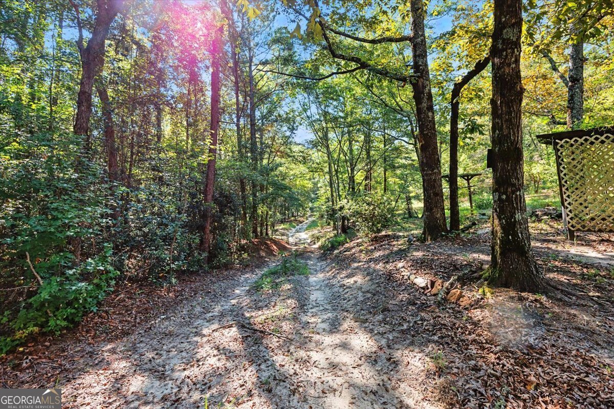 379 Bethlehem Church Road Gordon - 25