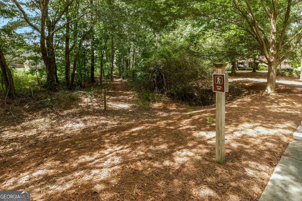 3669 Brockenhurst Drive Buford - 21