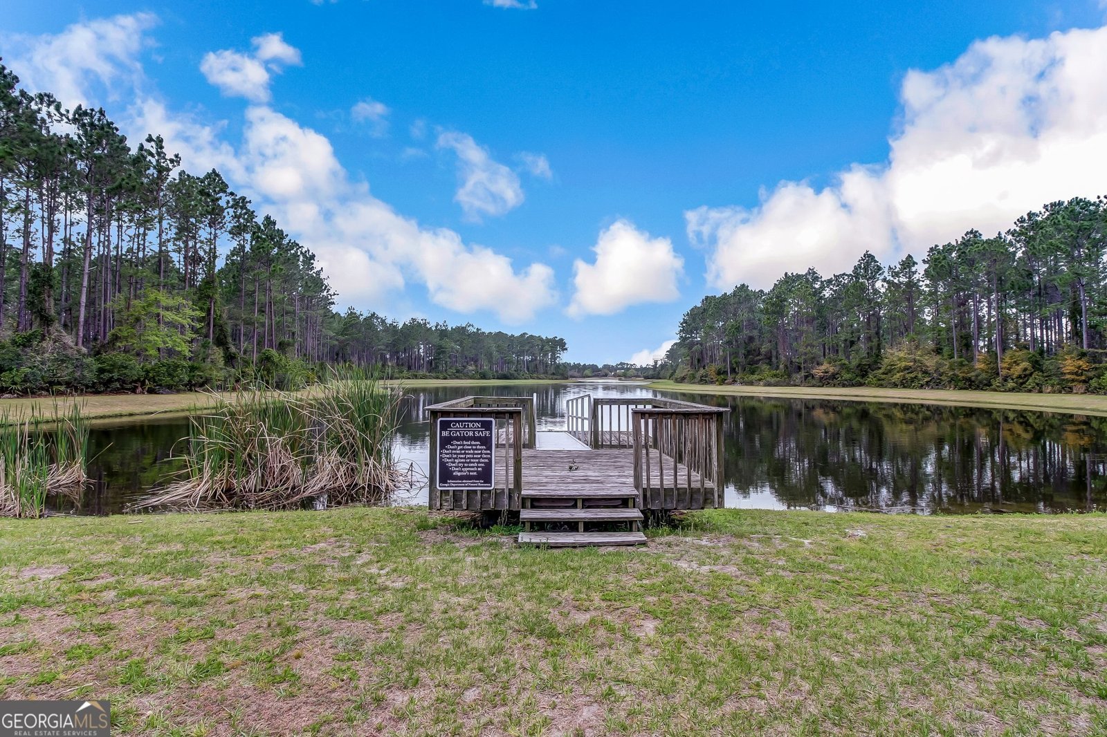 113 Carousers Cove St. Marys - 94