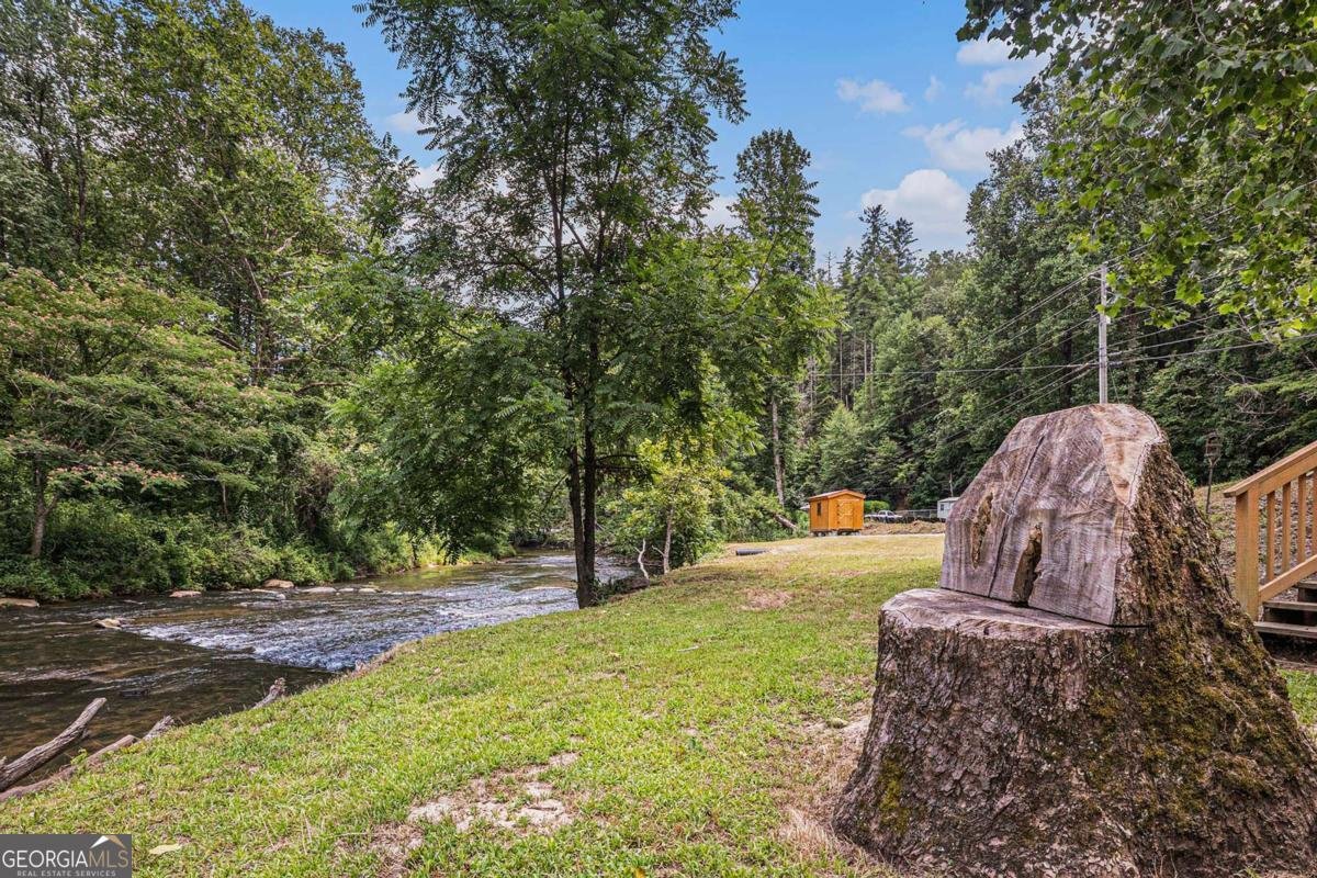 9139 Old 441 Lakemont - 15