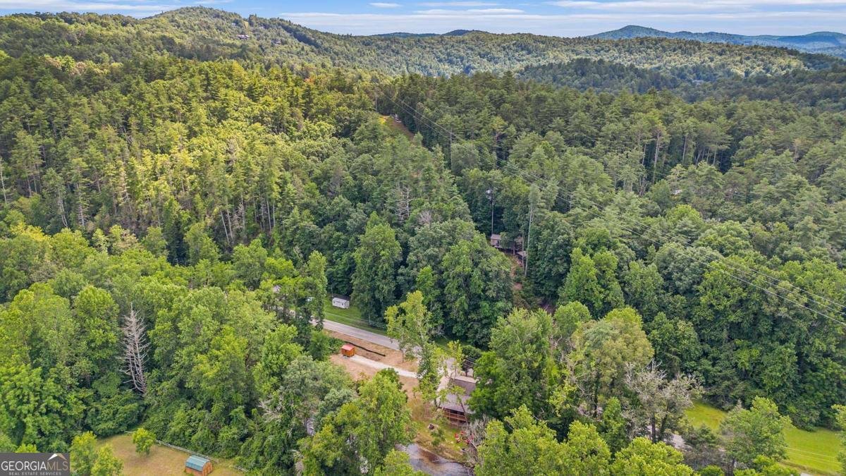 9139 Old 441 Lakemont - 16