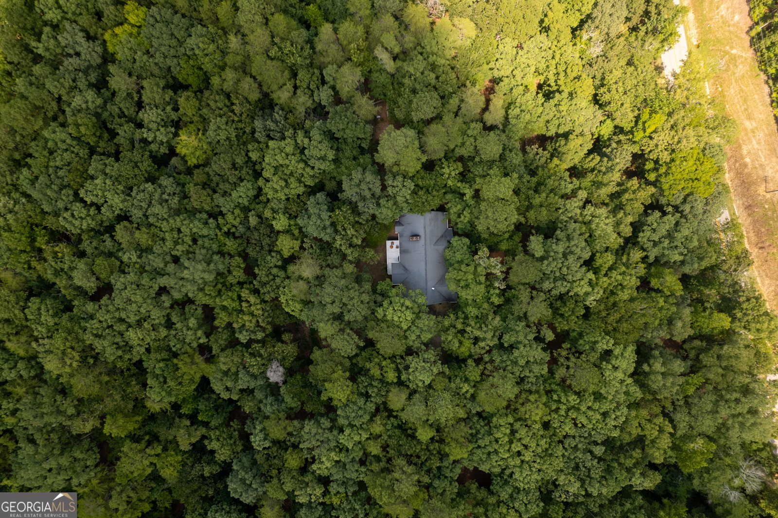 4720 Fosters Mill Road Cave Spring - 32