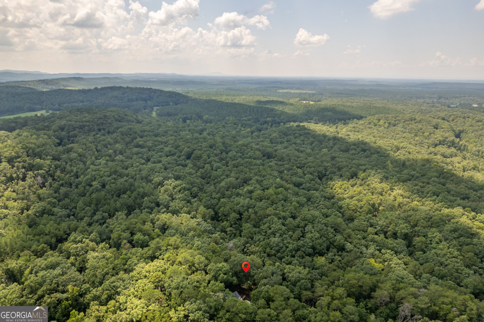 4720 Fosters Mill Road Cave Spring - 33