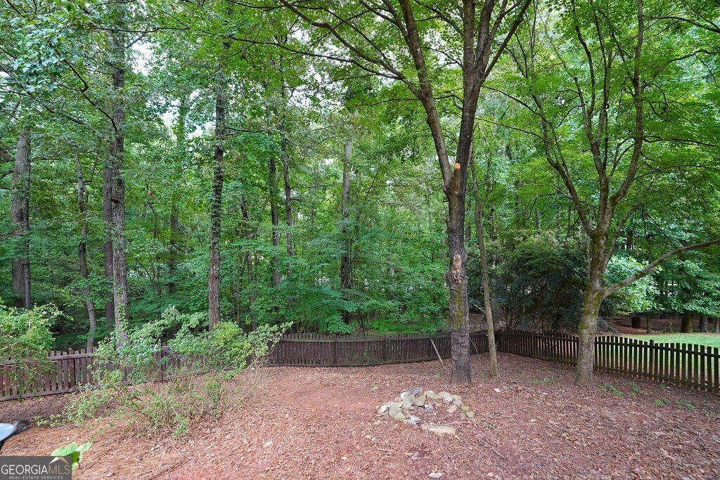 308 Mill Spring Court Woodstock - 72