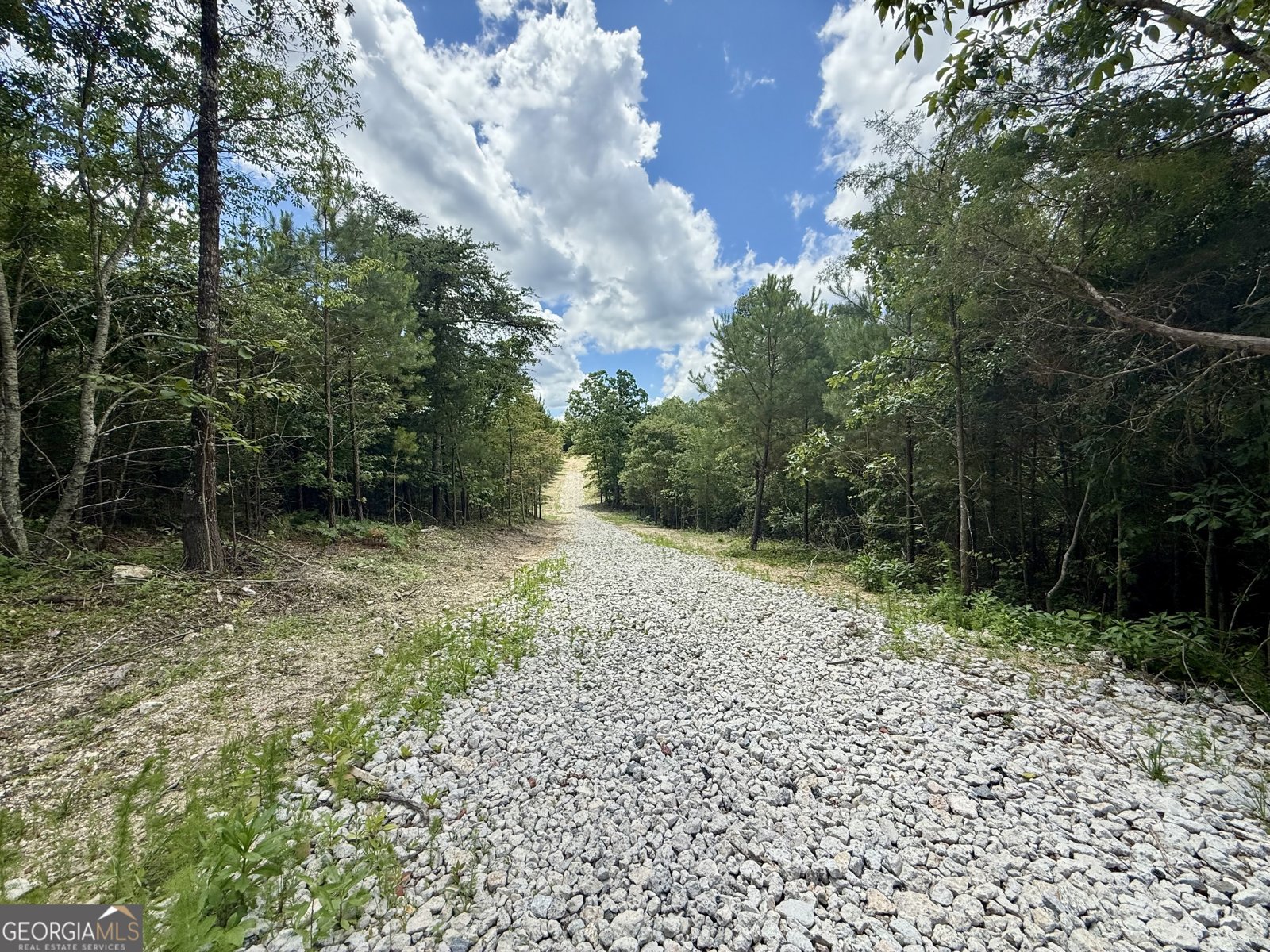 TRACT1 Kelly Road Cedartown - 6