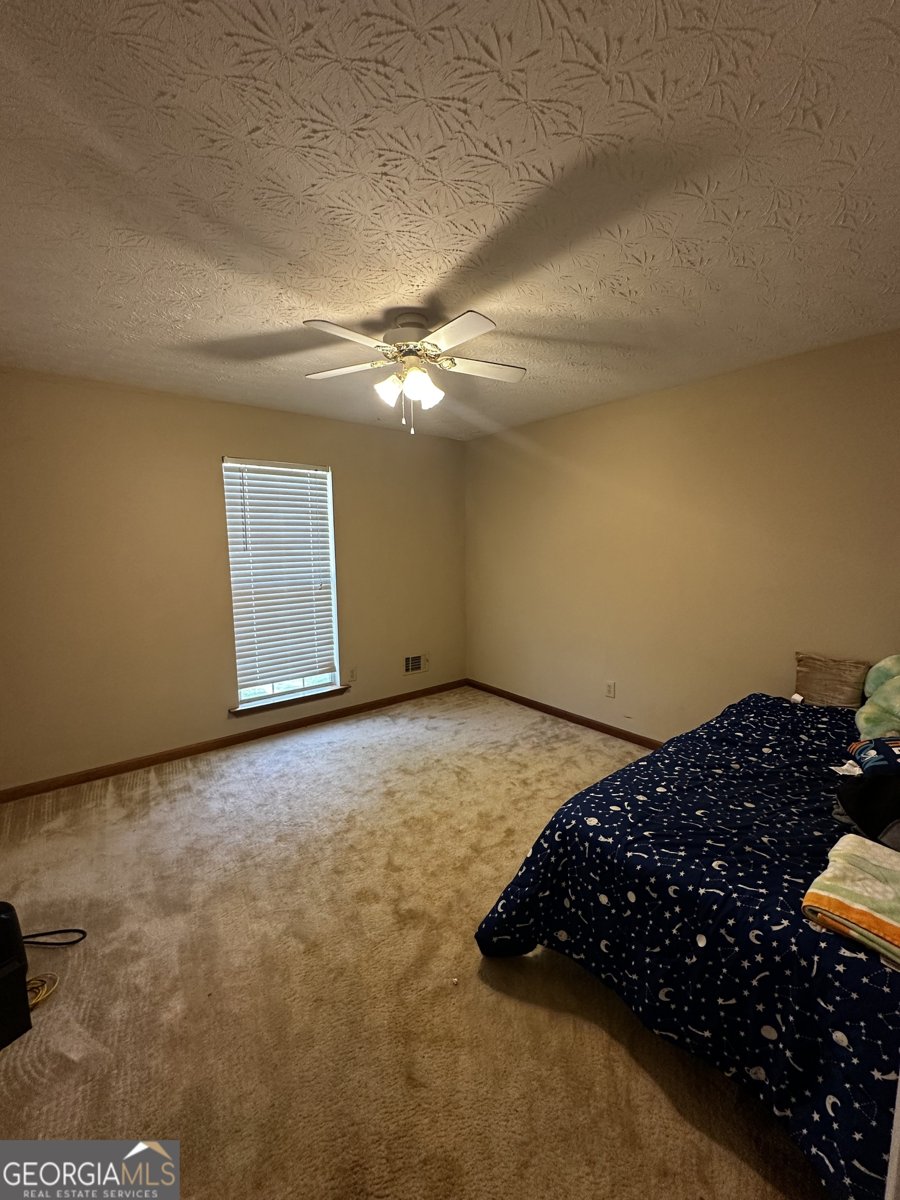 225 Laney Court McDonough - 12