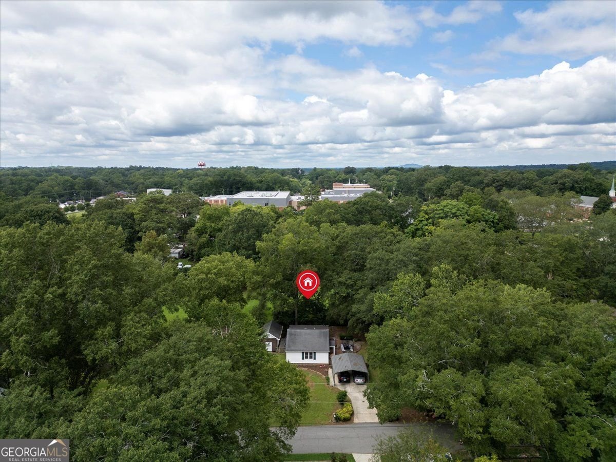 1540 PINE Marietta - 33