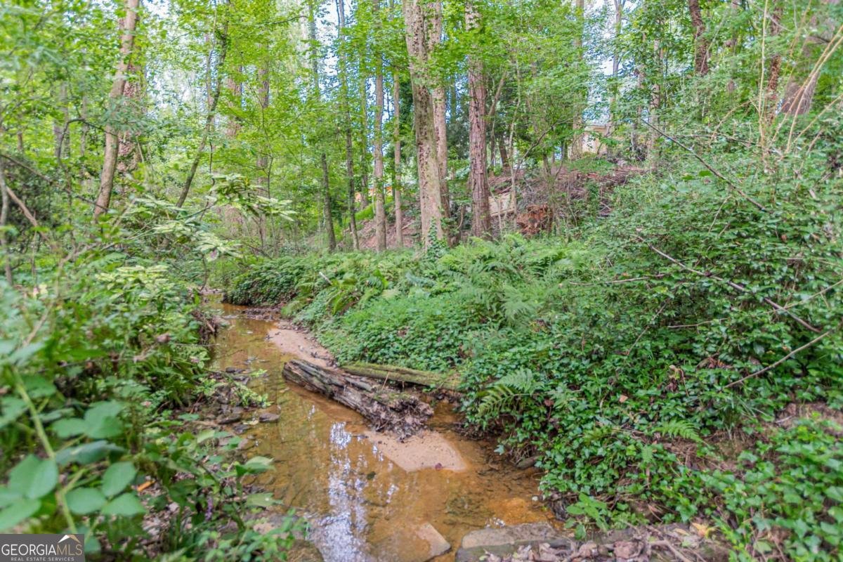 4610 Brierwood Place Atlanta - 68