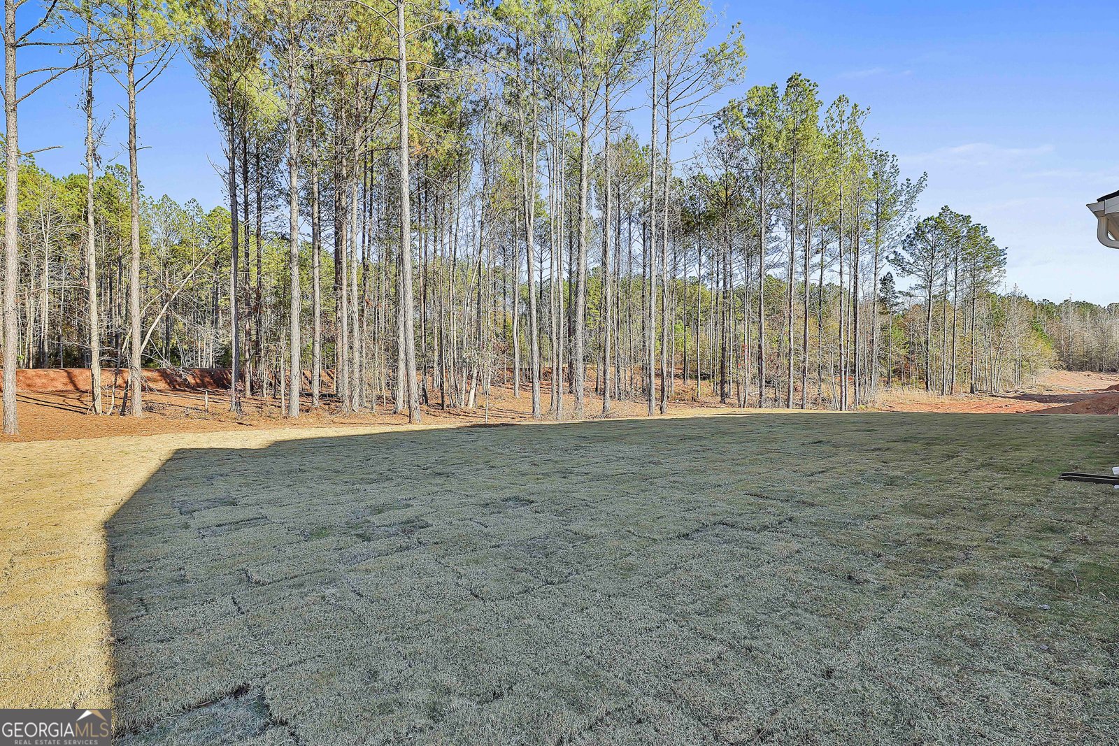 188 Tattersall Way Senoia - 29