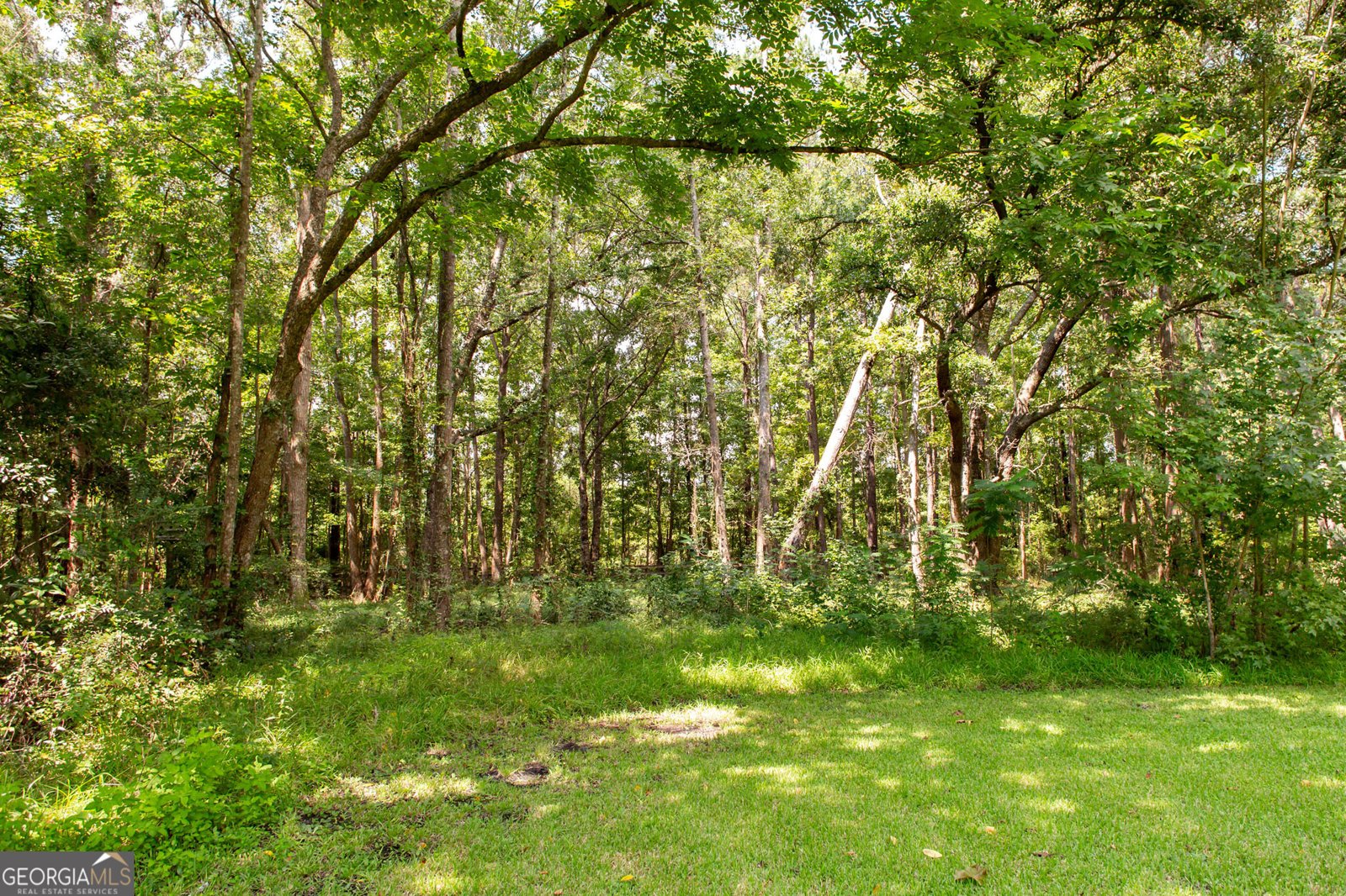 8005 US Highway 17 Woodbine - 37