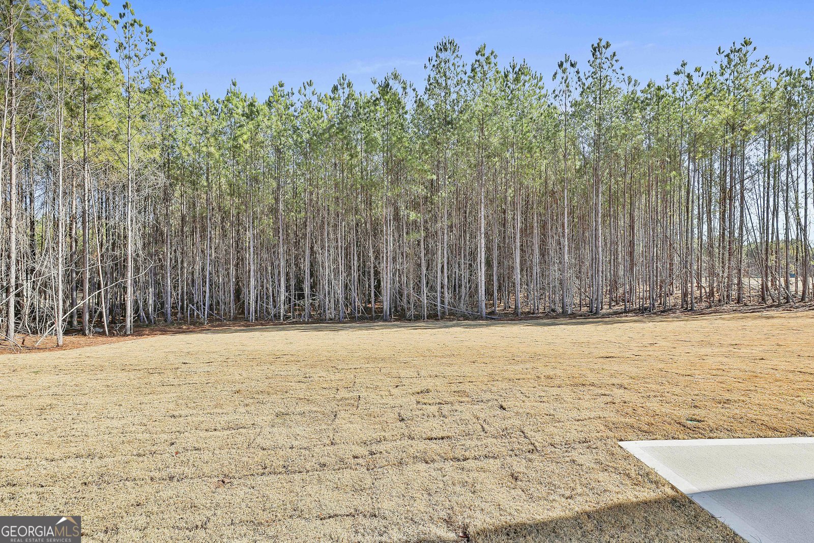 16 Nelson Way Williamson - 43