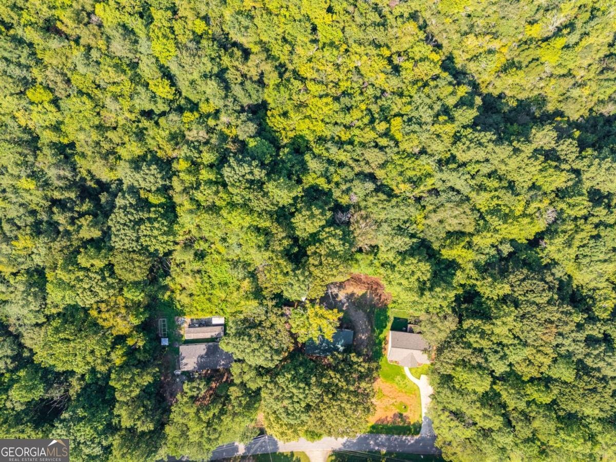 256 Astin Creek Road Villa Rica - 3
