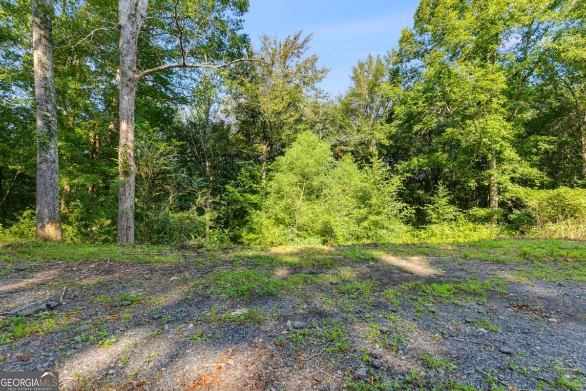 256 Astin Creek Road Villa Rica - 38