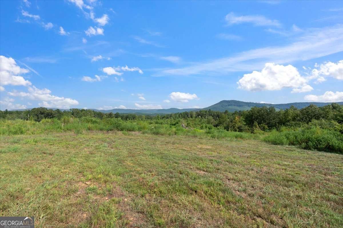 664 Wiggins Road Lyerly - 51