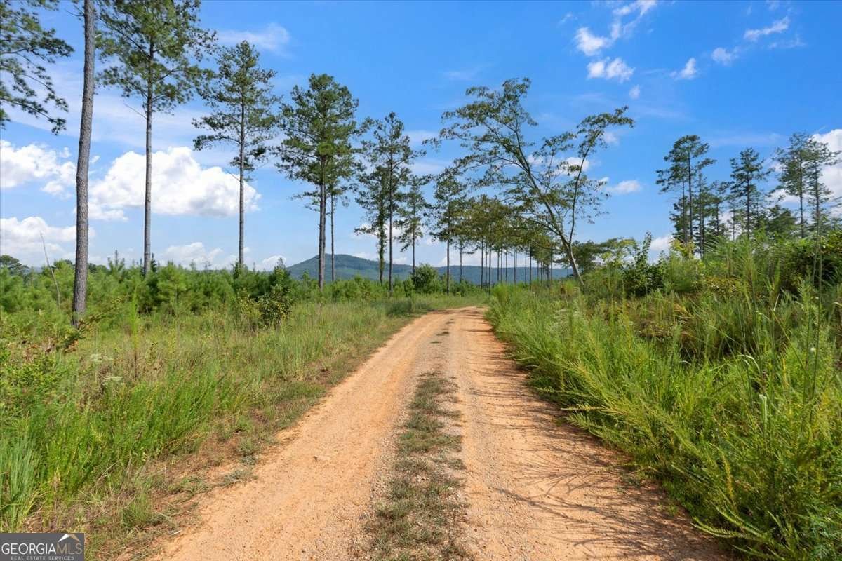 664 Wiggins Road Lyerly - 53