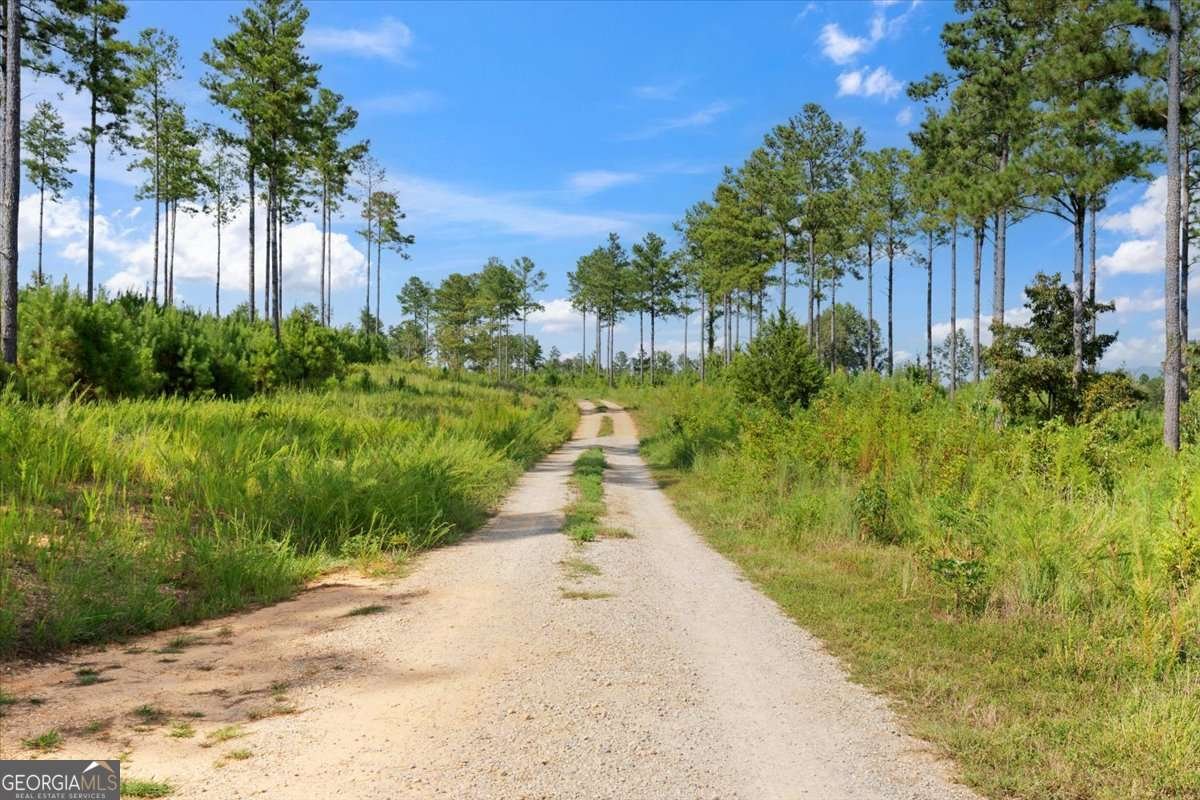 664 Wiggins Road Lyerly - 54