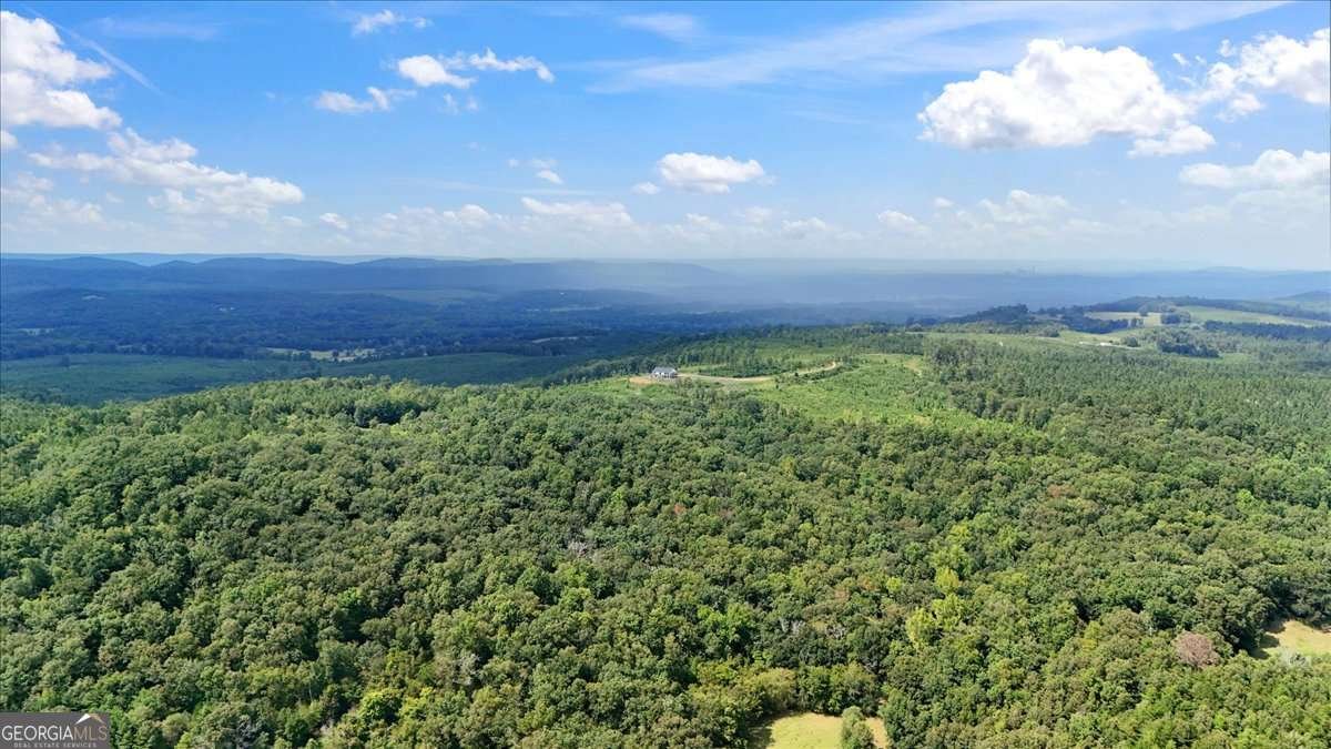 664 Wiggins Road Lyerly - 69