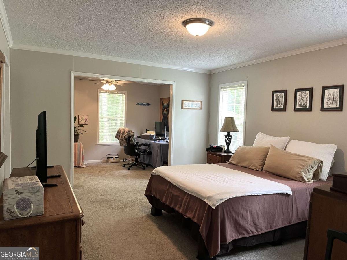 1195 Watts Road Bowdon - 18