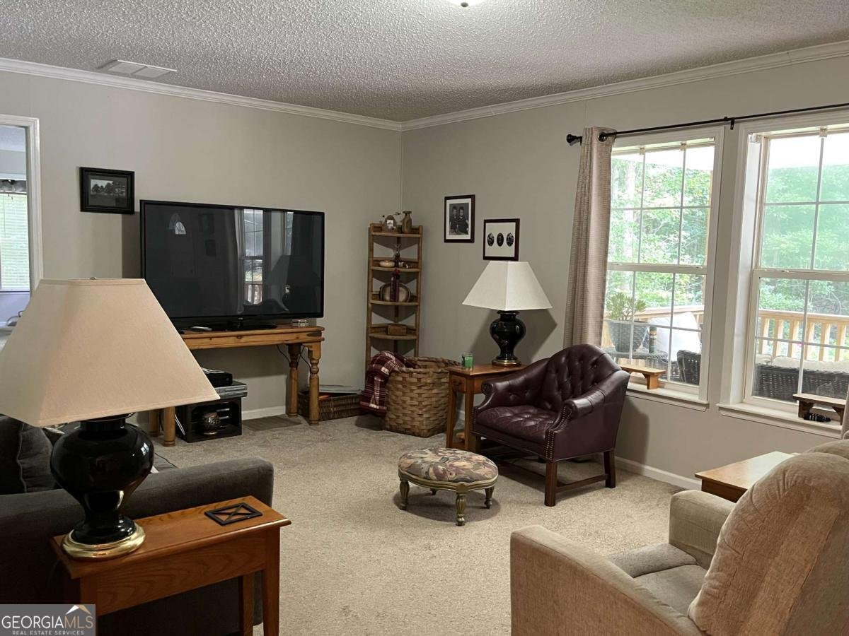 1195 Watts Road Bowdon - 4