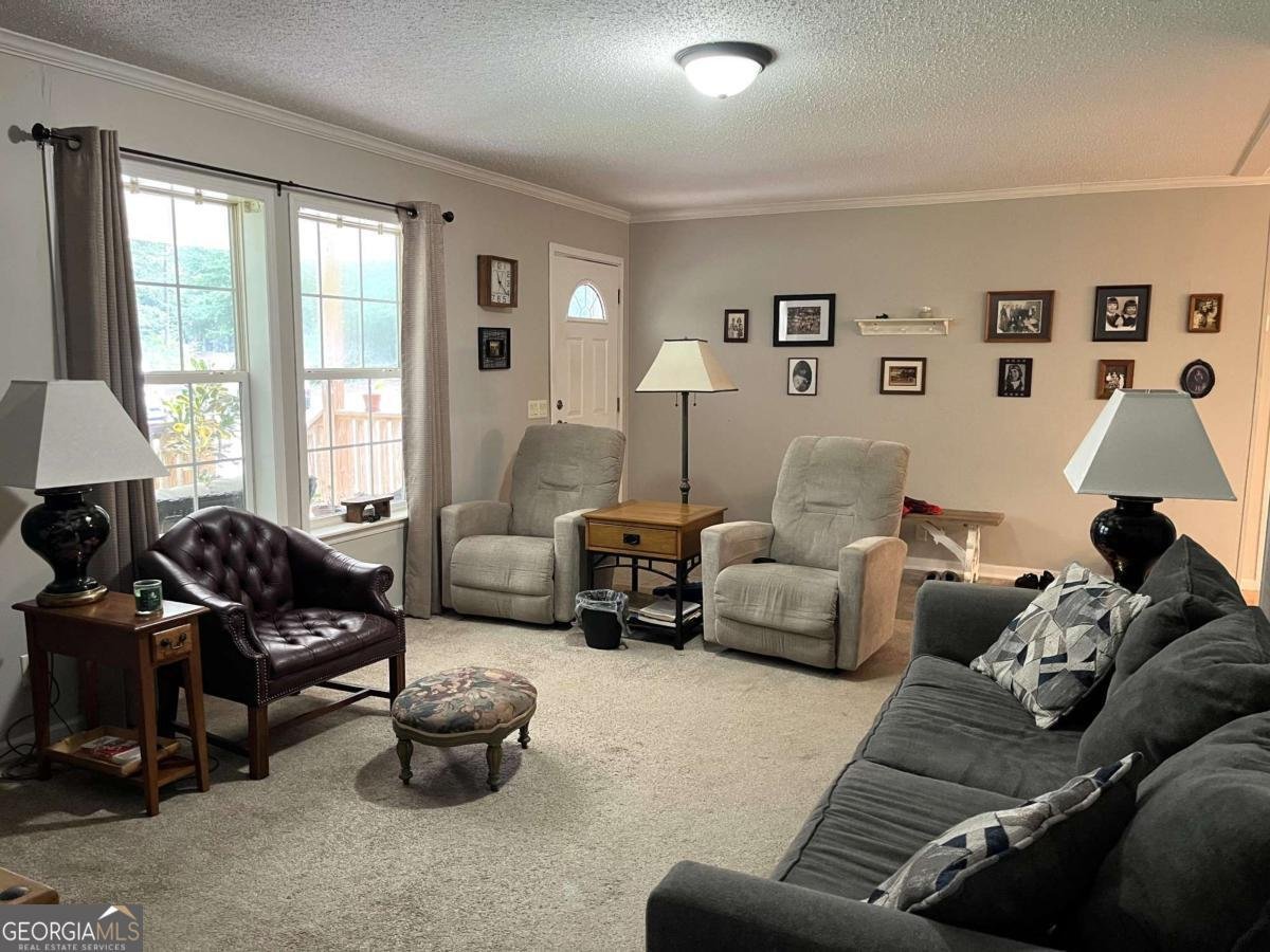 1195 Watts Road Bowdon - 5