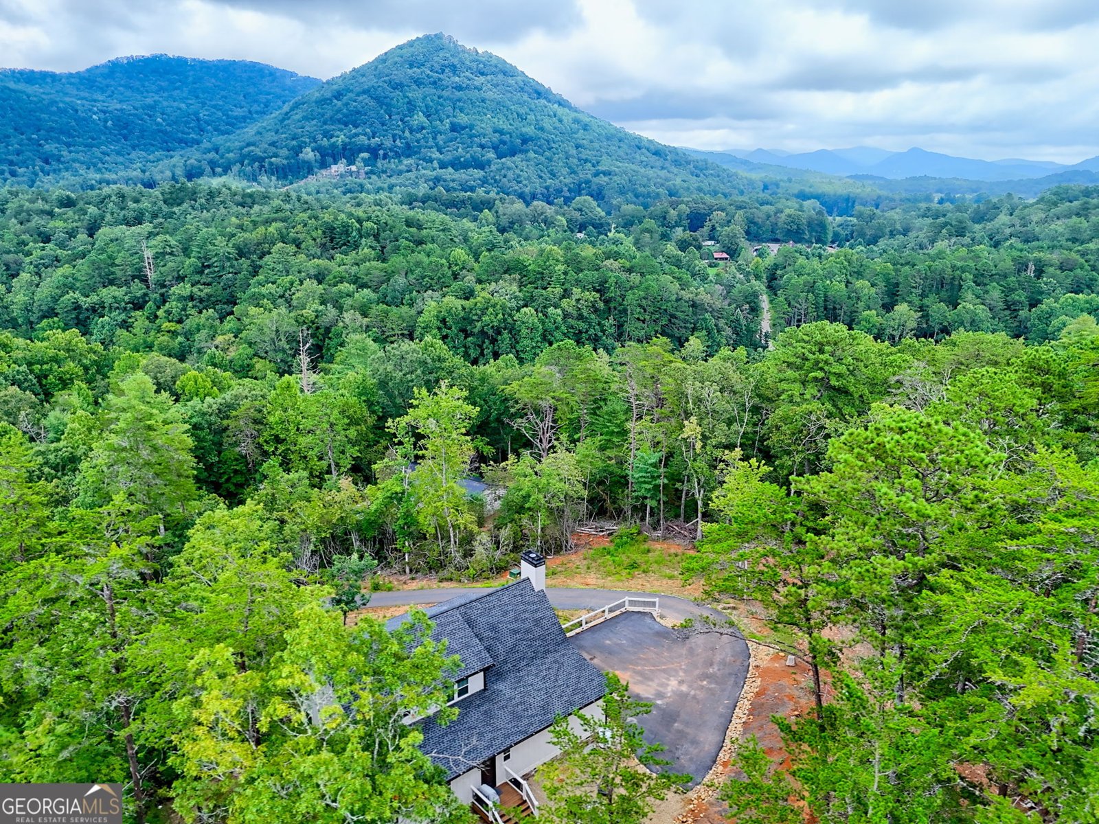 63 Redwood Tiger - 84