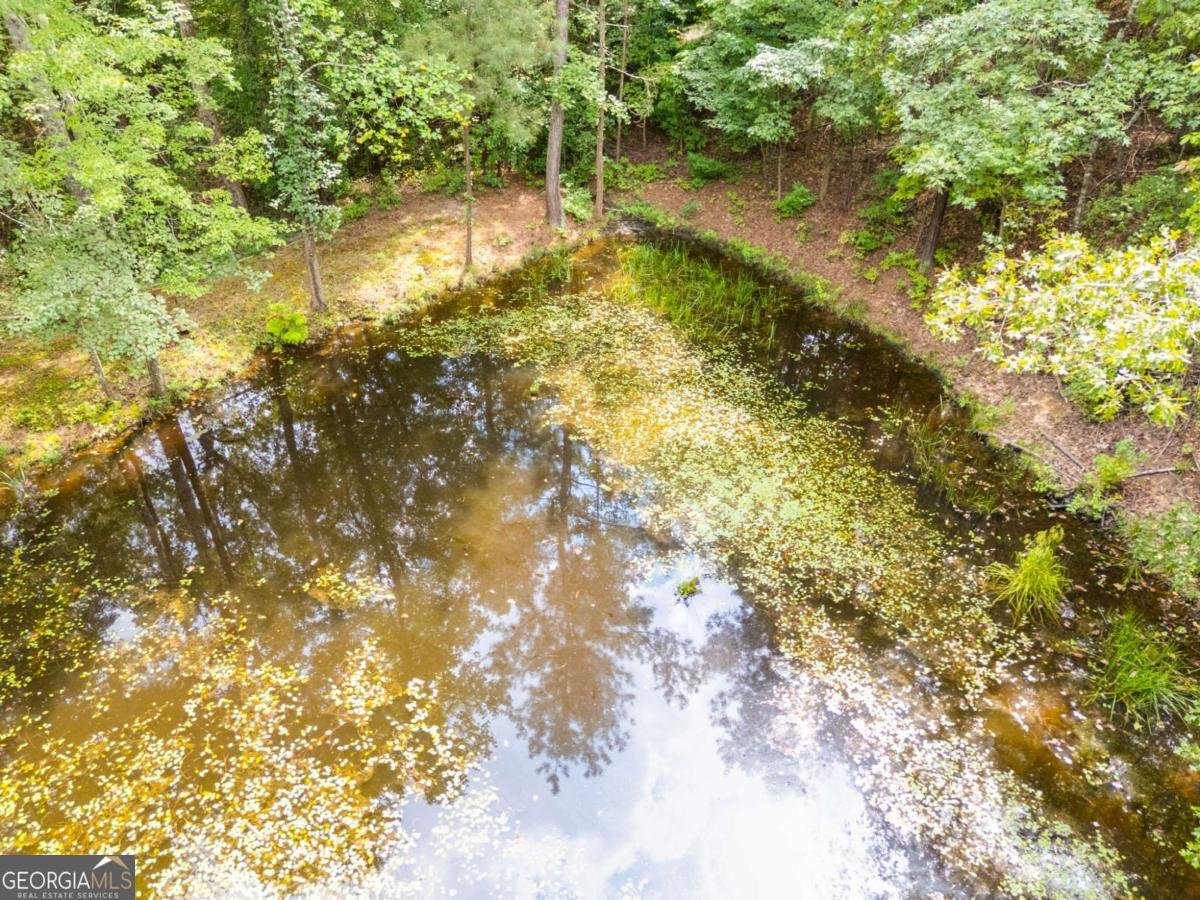 1311 Little Vine Road Temple - 47