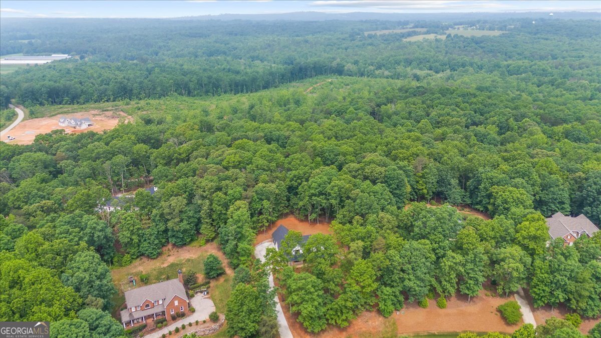 225 Laurel Place Drive Cornelia - 54