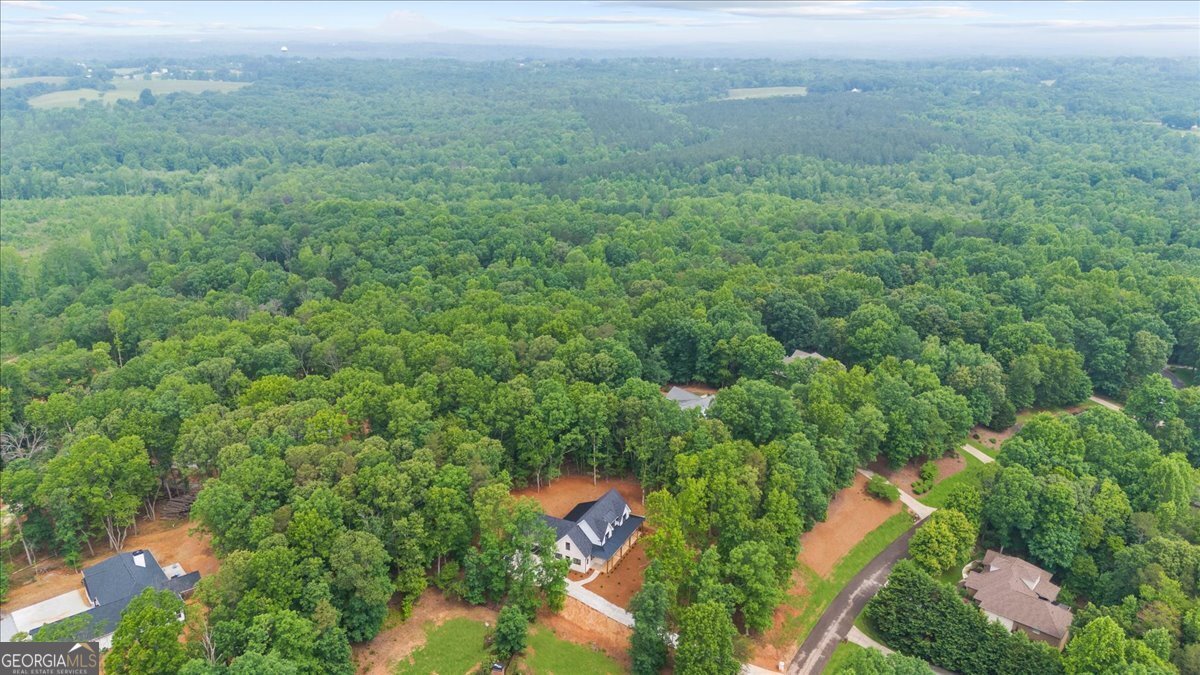 225 Laurel Place Drive Cornelia - 55