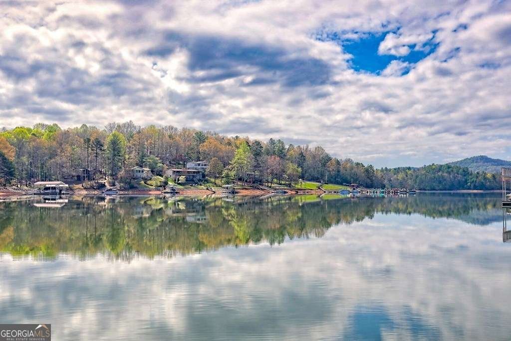 1243 Forest Drive Blairsville - 54