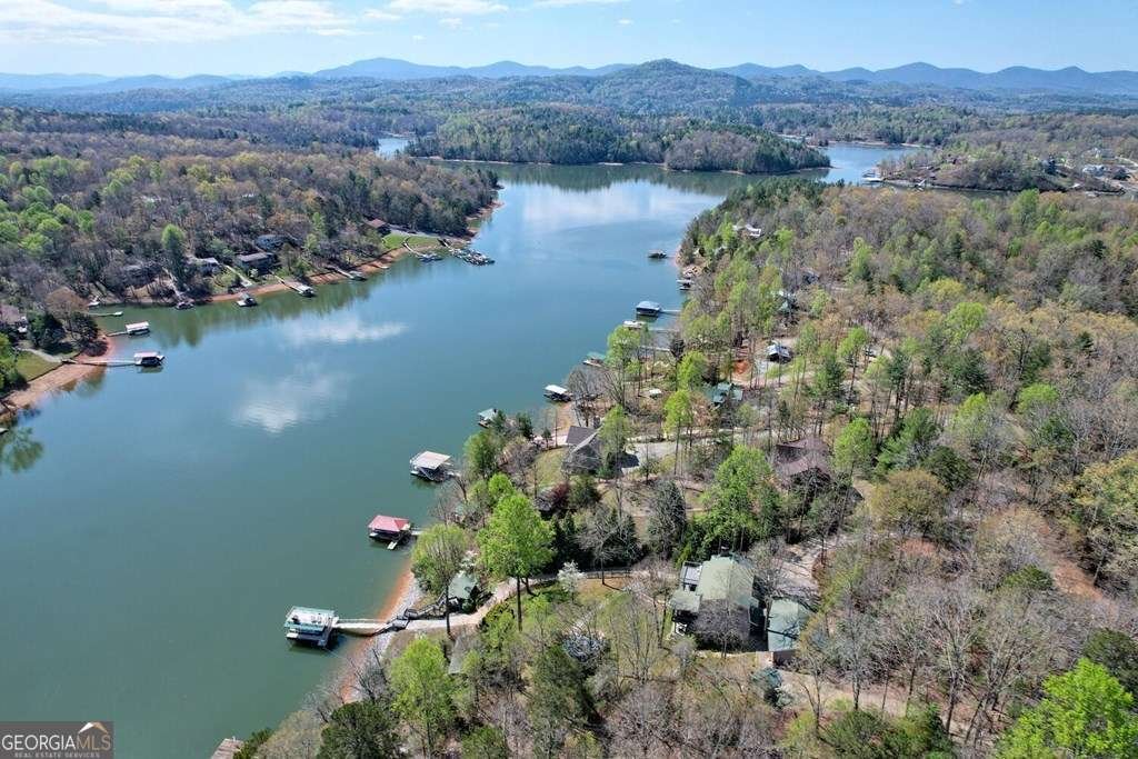 1243 Forest Drive Blairsville - 68