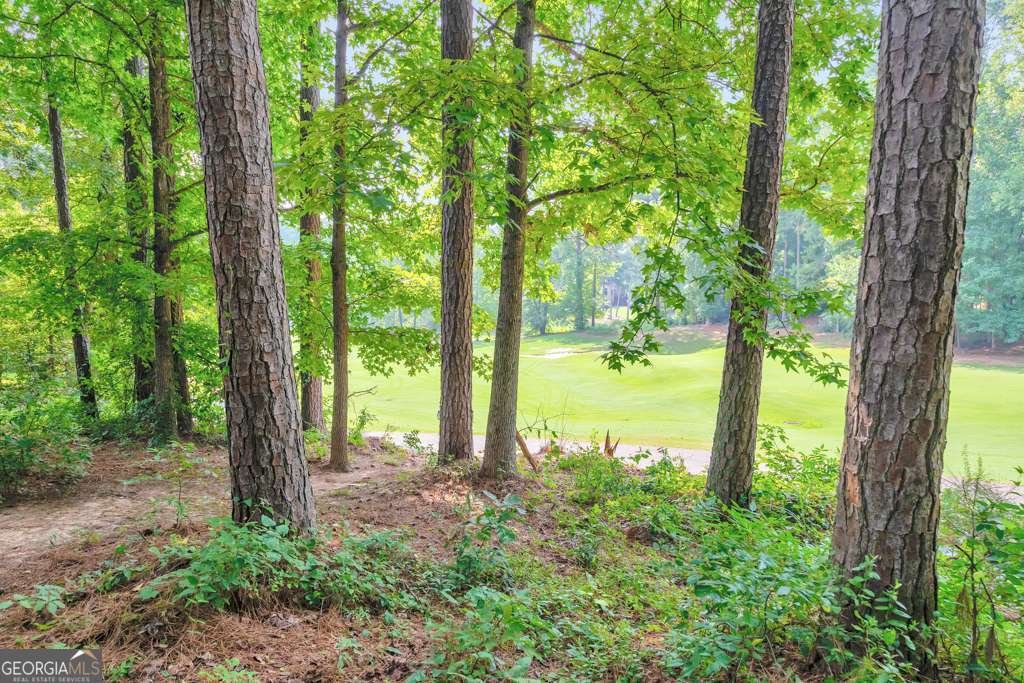 5485 Brookstone Drive Acworth - 52