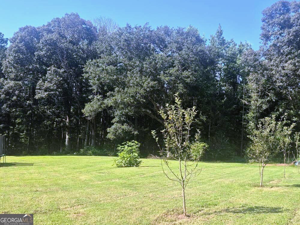 453 Borders Road Commerce - 17