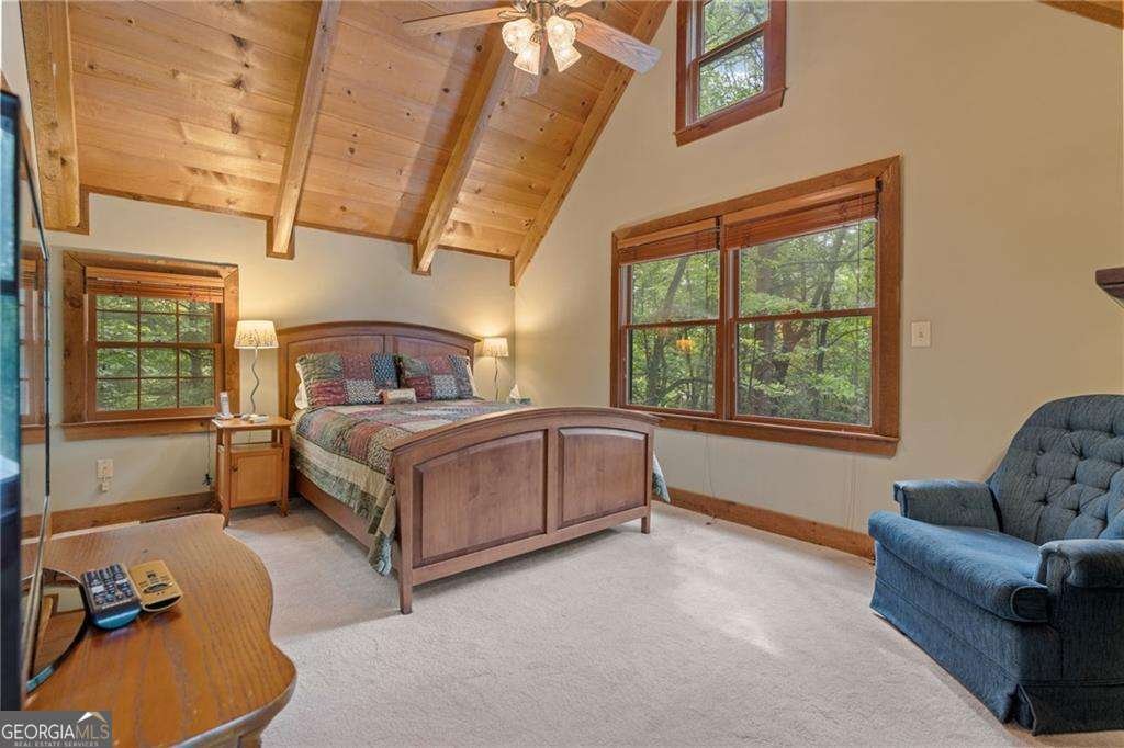 6 Crazy Bear Ridge Jasper - 12