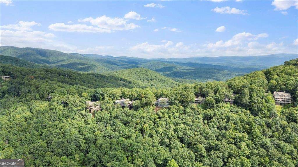 6 Crazy Bear Ridge Jasper - 25