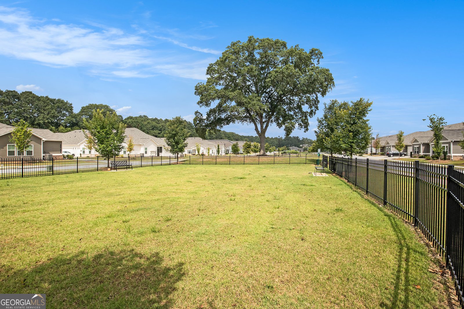 2925 Rambler Drive Loganville - 30