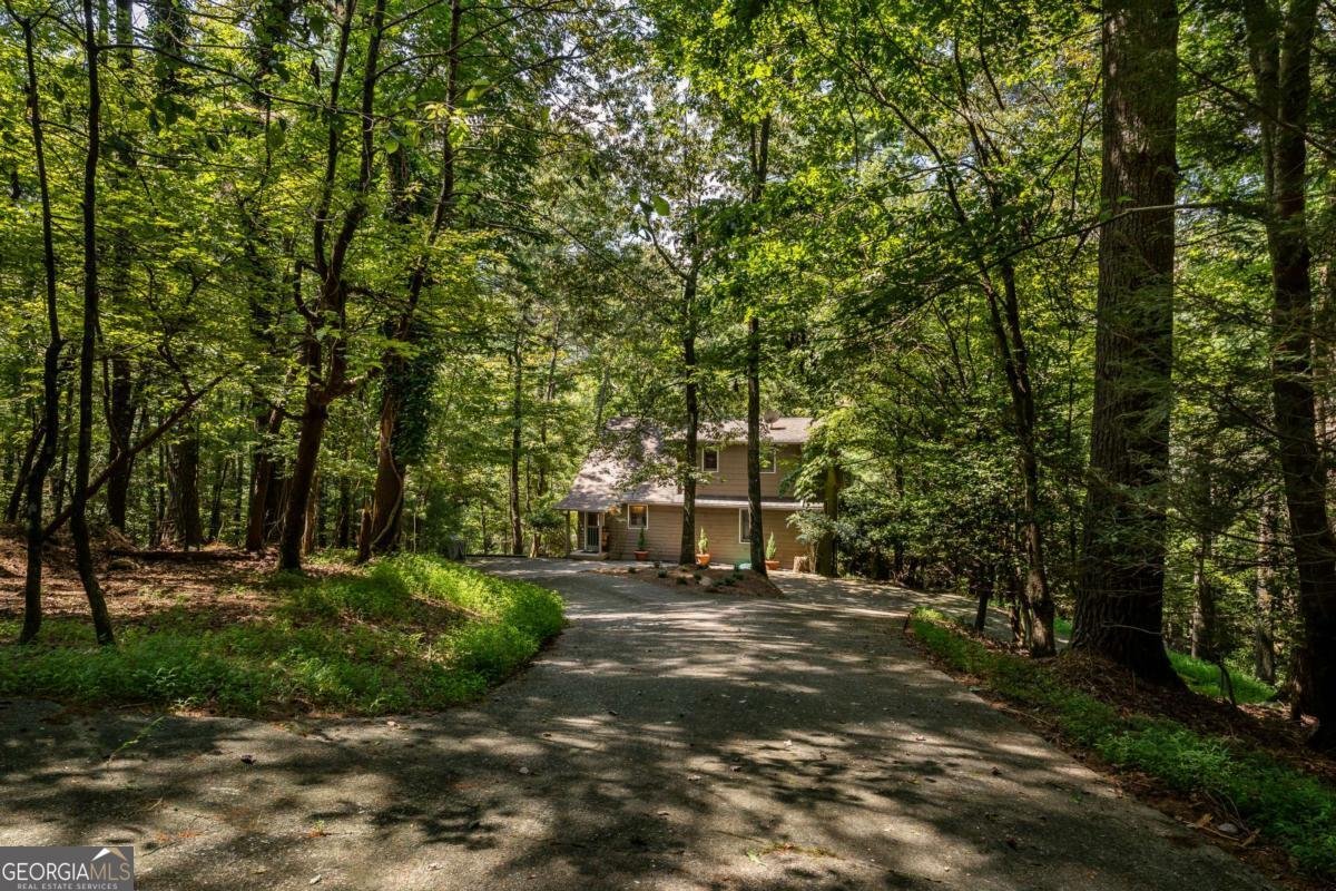 263 Indian Cave Road Ellijay - 42